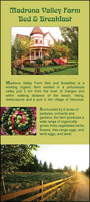 Madrona Valley Bed & Breakfast - Brochure front